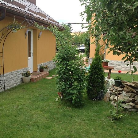 Willa Casa Ioana Haţeg Pokój zdjęcie