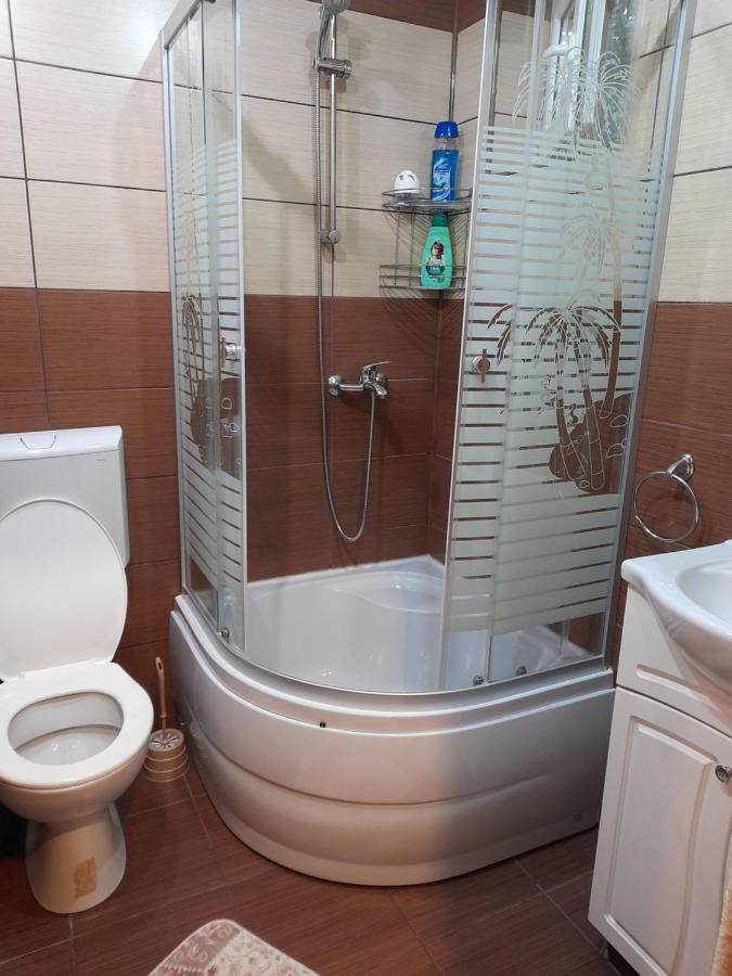 Willa Casa Ioana Haţeg Zewnętrze zdjęcie