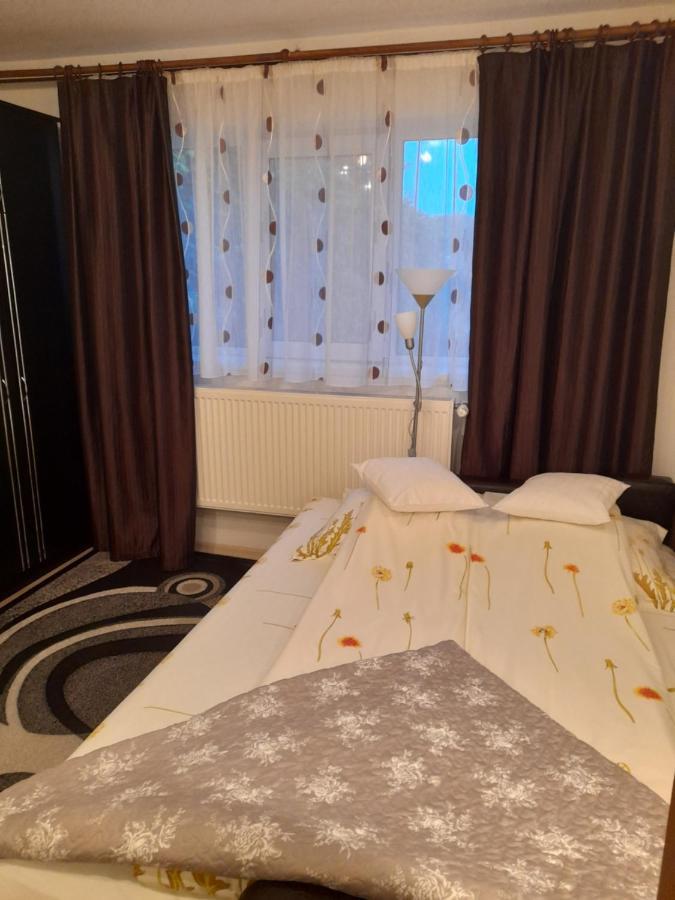 Willa Casa Ioana Haţeg Zewnętrze zdjęcie