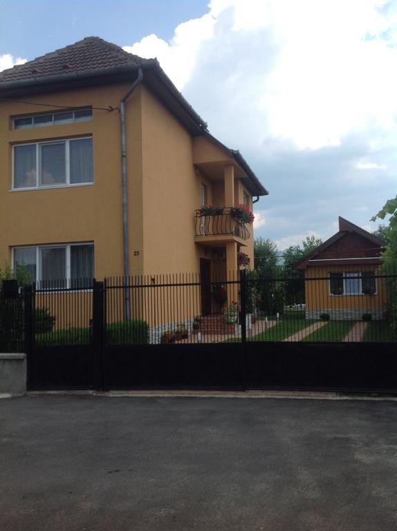 Willa Casa Ioana Haţeg Pokój zdjęcie