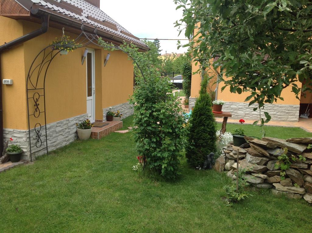 Willa Casa Ioana Haţeg Pokój zdjęcie